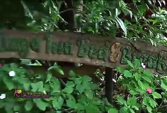 Week 8 Tuesday Kris Sweet Escape