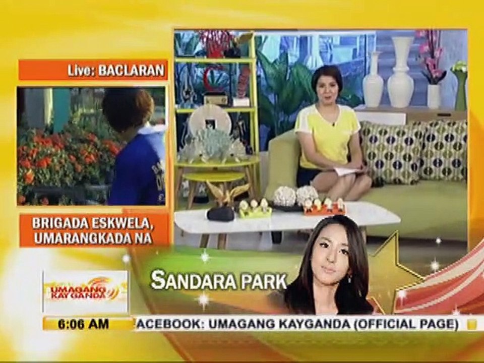 Sandara and 2NE1 pinasaya ang mga fans