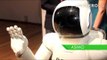 Conociendo ASIMO, el robot humanoide