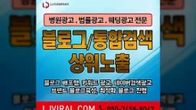 블로그마케팅효과〖LJVIRAL.Com〗네이버검색광고대행사