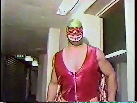 Mil Mascaras vs. The Destroyer (03-11-77)