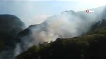 Sinop'taki orman yangını kontrol altına alındı