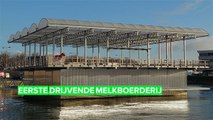 Rotterdam heeft de eerste drijvende melkboerderij