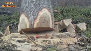 Amazing Fastest Skill Cutting Big Tree ChainSaw Machines, Heavy Biggest Felling Tree Machine working