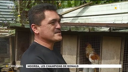 Maire délégué et éleveur de coqs de combat…