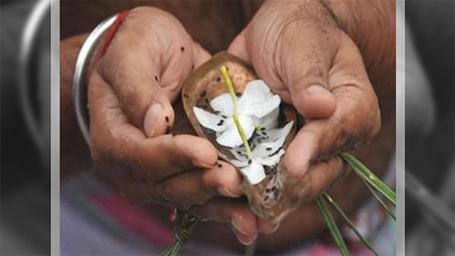 श्राद्ध 2019 : पितृ पक्ष में ये 7 दिन जरूर करें ये काम | Pitra Paksha 7 Important Days | Boldsky