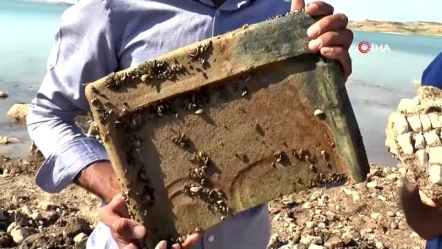 Tarihi yapı baraj suları çekilince ortaya çıktı