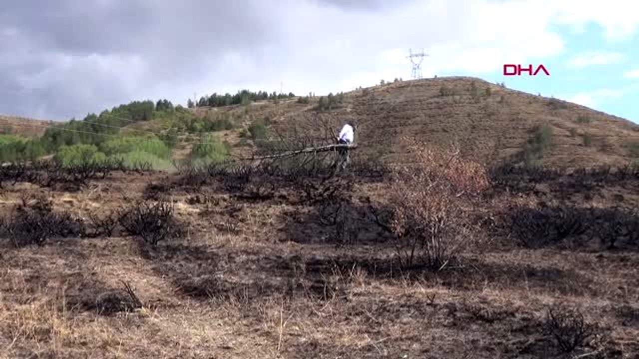 Erzincan erzincanlı prof. orman yangınlarına ilginç bir eylemle dikkat çekti