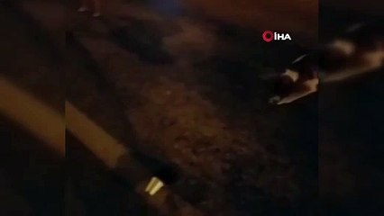 Kafasına plastik sıkışan kirpiyi bekçiler kurtardı