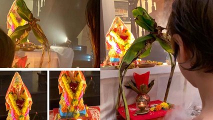 Shahrukh Khan & his adorable son AbRam's sweetest way to Ganpati visarjan | FilmiBeat