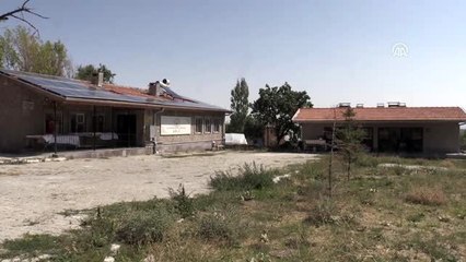 Kooperatif çatısı altında buluşan kadın çiftçiler iş hayatına atıldı