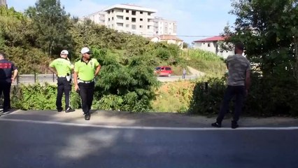 Kontrolden çıkan kamyonet dereye düştü - TRABZON