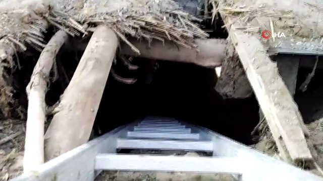 Kuyuda mahsur kalan yavru köpekleri itfaiye ekipleri kurtardı
