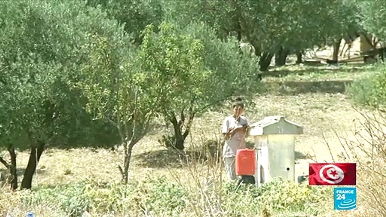 Élection présidentielle : les habitants des zones rurales tunisiennes désabusés