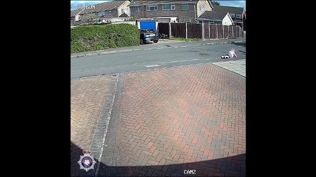 CCTV captures the moment Joy Morson's handbag was stolen