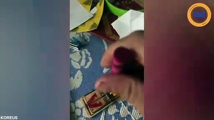 Il se fait piéger très bêtement par son propre piège à souris !