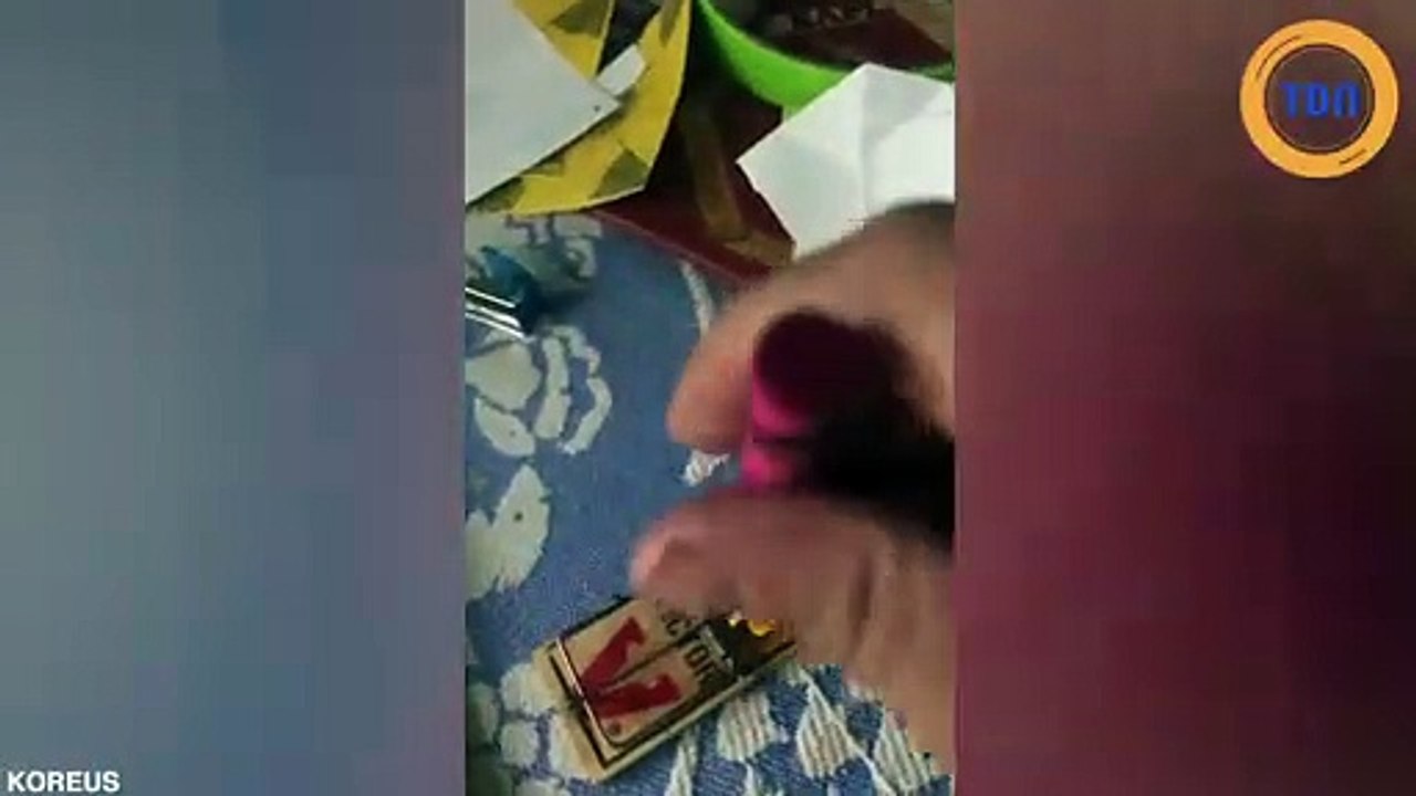Il se fait piéger très bêtement par son propre piège à souris !