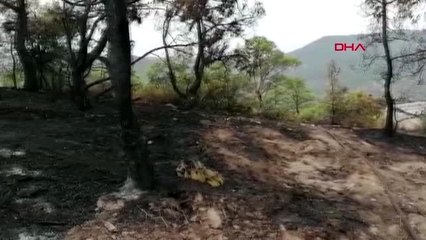 İzmir foça'da askeri birlik arazisine yıldırım düştü 7 yaralı-2