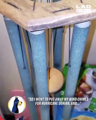 Kurbağalar, Dorian Kasırgası'ndan rüzgar zilinin içine girerek korundu