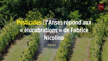 Pesticides : l'Anses répond aux « élucubrations » de Fabrice Nicolino