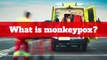 Monkeypox - What is monkeypox?
