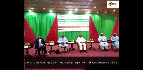 Lutte contre la chenille légionnaire d'automne  des experts de la sous région en conclave pour trouver des solutions