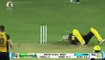 Watch Video : Andre Russell gets hit on head with vicious bouncer : CPL Match
