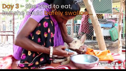 Close to death, brain injured but so brave Sona's recovery