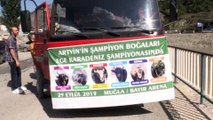 Artvinli 'şampiyon' boğalar Muğla yolcusu