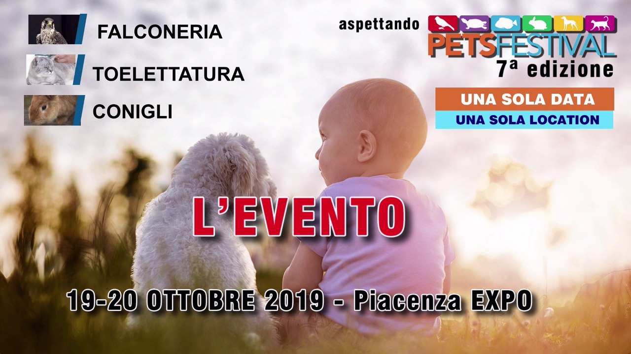 Aspettando PetsFestival 2019 - Puntata 3