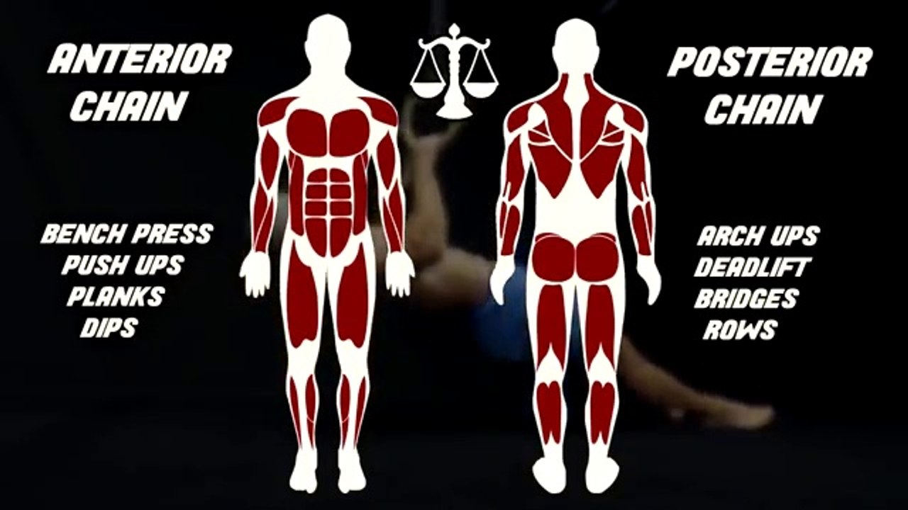 Fix Your Posture In Just 5 Minutes!