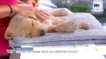 Soigner son animal grâce aux médecines douces