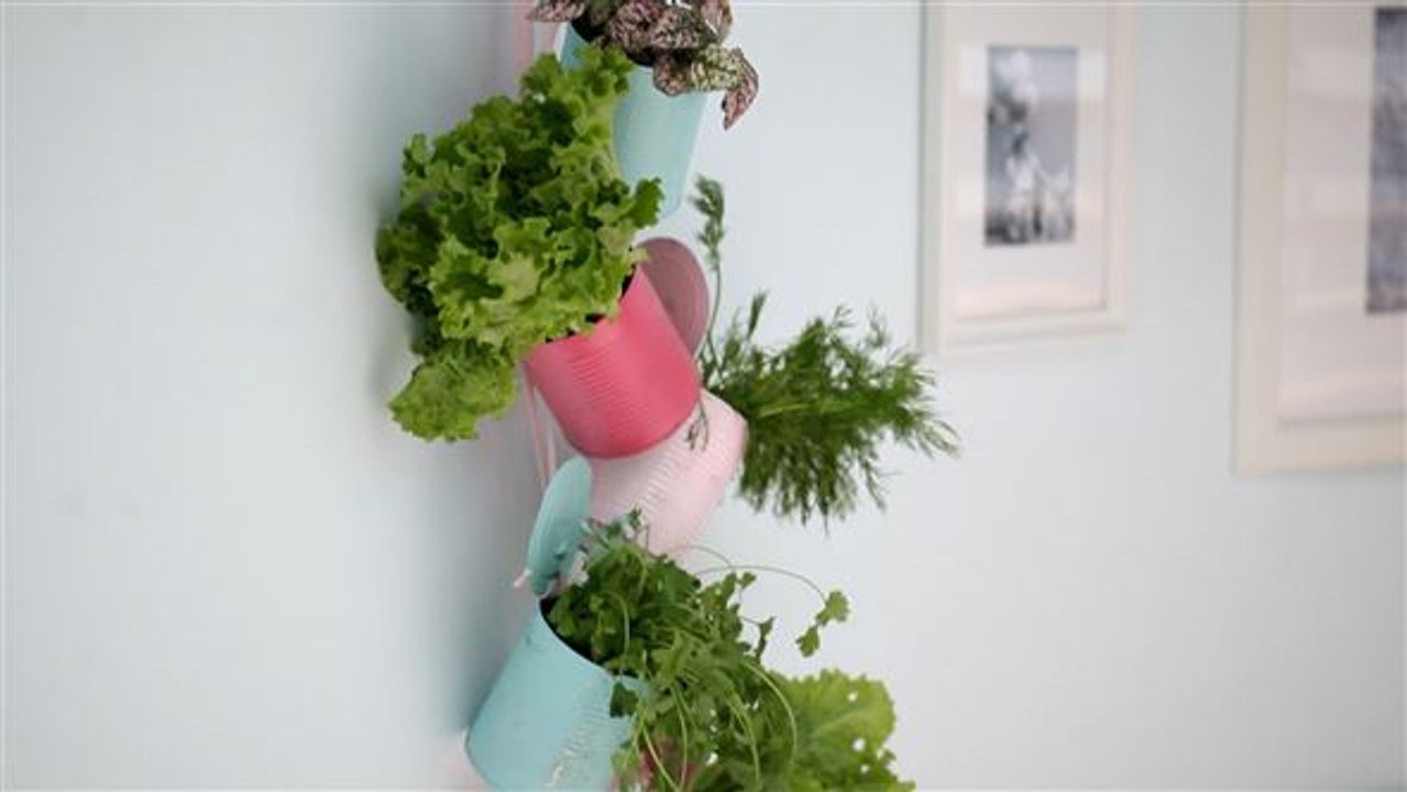 Vertical gardens: kräutergarten