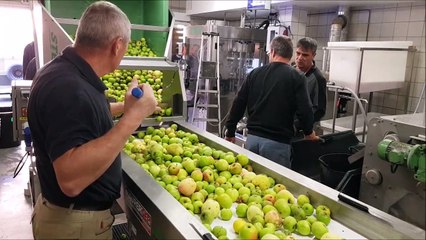 DNA - L'atelier de jus de fruits de Rossfeld (Alsace)