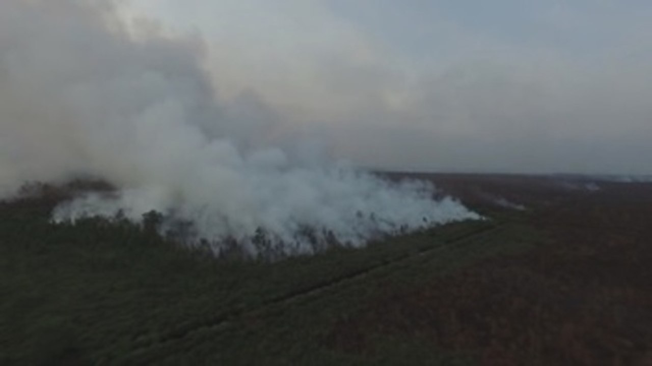 Incendios forestales arrasan Indonesia y el humo se extiende a países vecinos