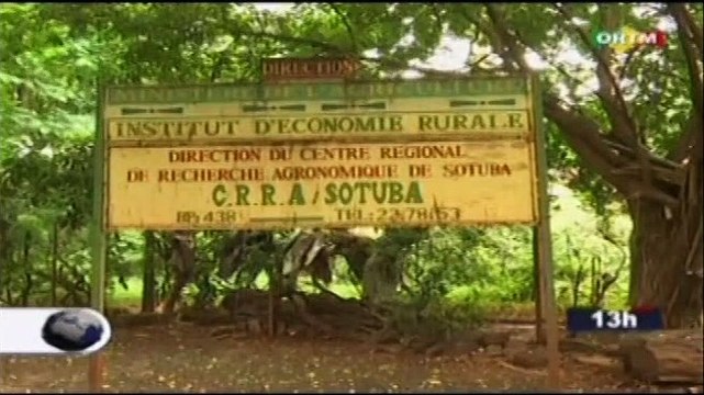 ORTM/Le Ministre de la coopération internationale et du développement du royaume de Norvège et celui de l’agriculture du Mali se sont rendus au CRRA de l’Institut d’Economie Rurale