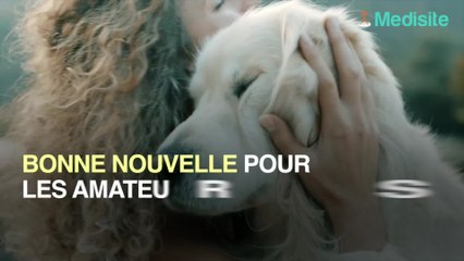 Sommeil : l'habitude '' dégoûtante '' qui le facilite