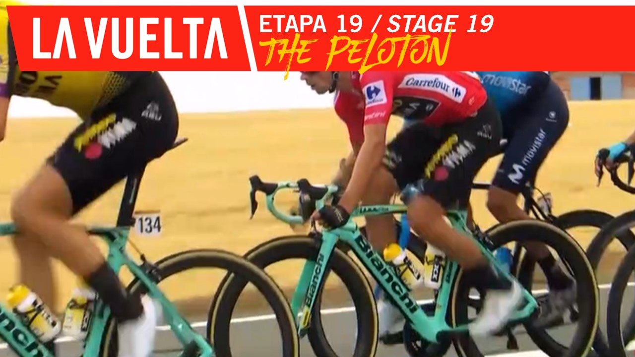 Le peloton / The peloton - Étape 19 / Stage 19 | La Vuelta 19