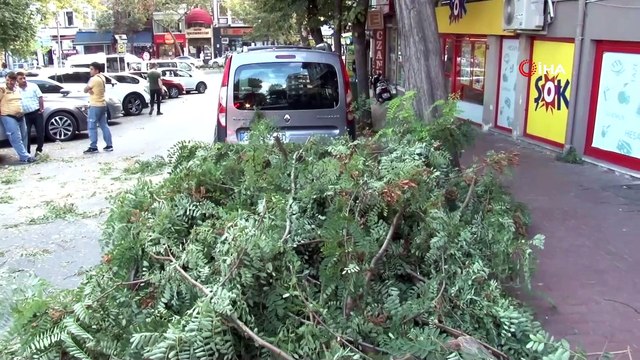 Rüzgarın şiddetine dayanamayan ağaç otomobilin üstüne devrildi