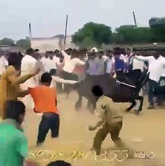 Best hours dance  - ghory ka dance  (punjab da mela)