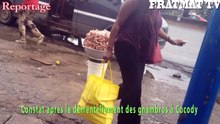 Gnambros chassés à Cocody
