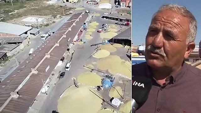 Buğdayda Rekolte Üzdü Fiyat Yüz Güldürdü