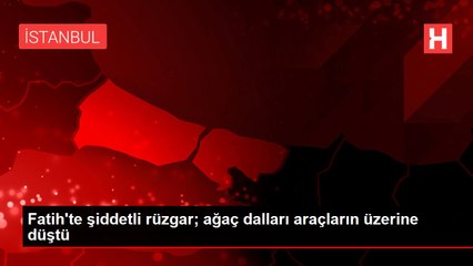 Fatih'te şiddetli rüzgar; ağaç dalları araçların üzerine düştü