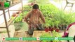 Smart Farming | Uses Of Medicinal Plants | Smart Agriculture  |  Earlier In Life Software Engineer And Now Kisan