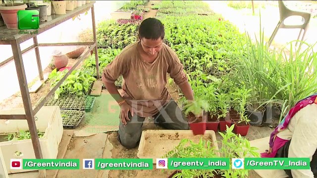 Smart Farming | Uses Of Medicinal Plants | Smart Agriculture | Earlier In Life Software Engineer And Now Kisan