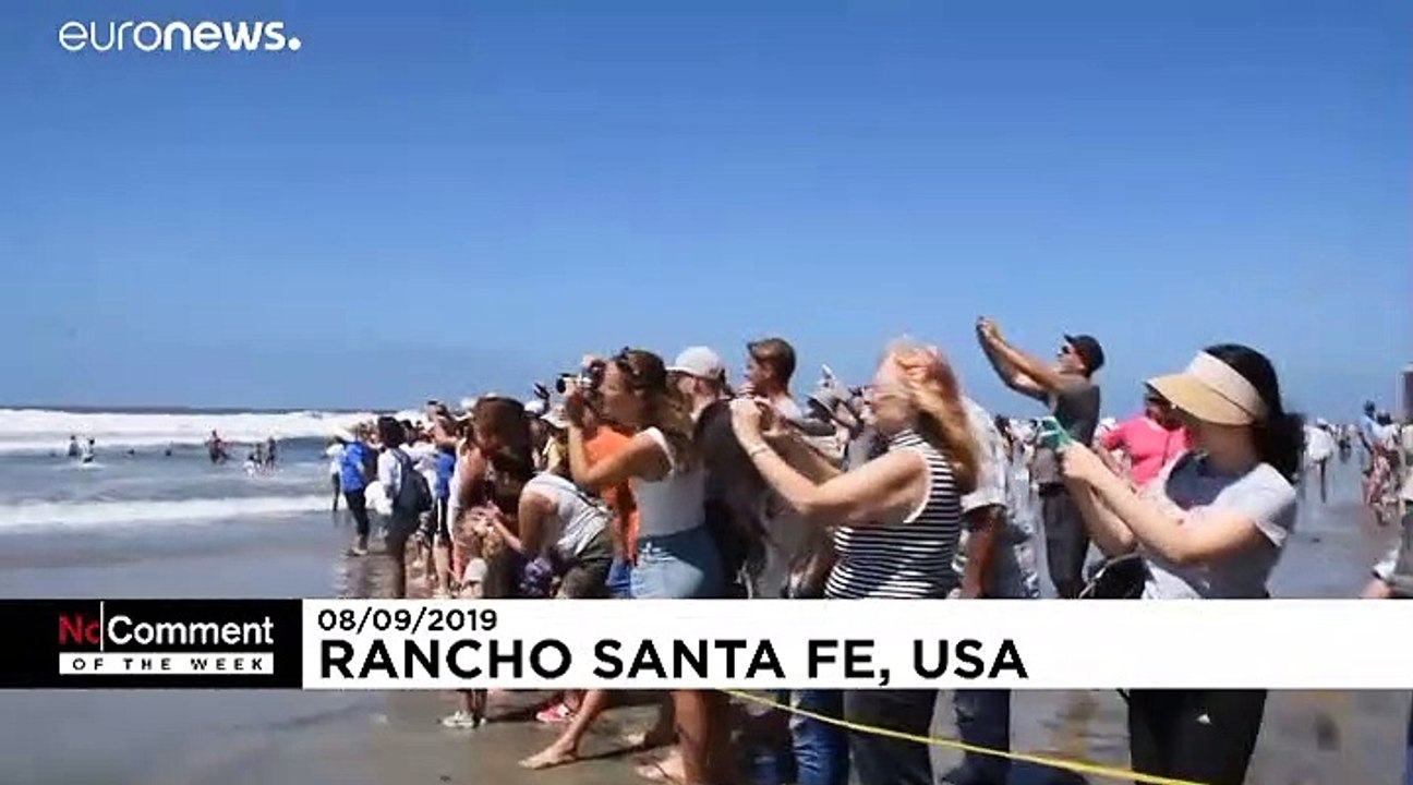 No Comment der Woche: Surfer-Hunde, 'Dorian' und Unwetter in Spanien