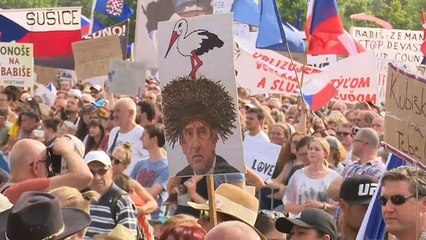 С чешского премьера сняли  обвинения