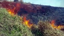 Incêndio em vegetação é combatido às margens da rodovia PR-486