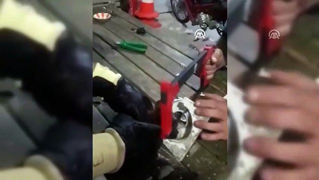 Boruya sıkışan yavru kediyi itfaiye ekipleri kurtardı - BALIKESİR