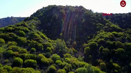 Çanakkale şehitliğine, 'arıburnu cephesi yürüyüş güzergahı'-2
